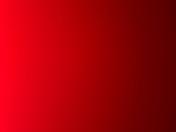 Meet your Posher, Oscar - Picture 1 of 1